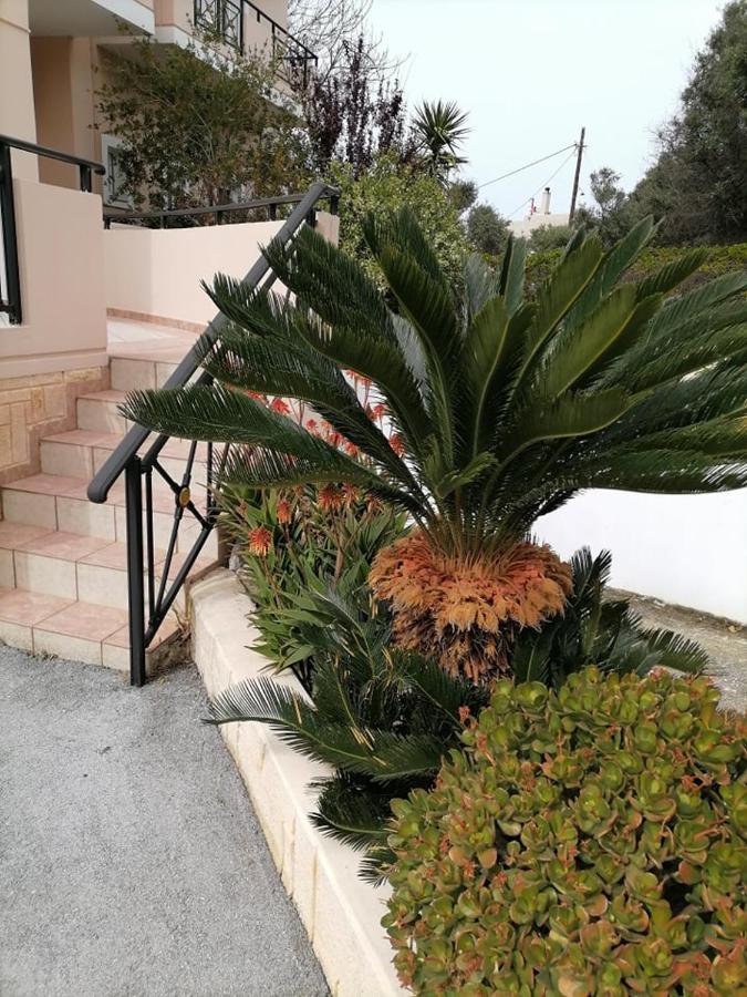 Kydoni Apartments And Studios Agia Marina Exterior foto
